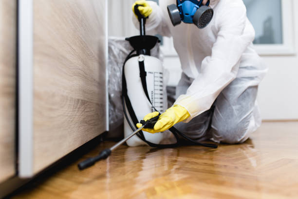 Reliable Front Royal, VA Pest Control Solutions