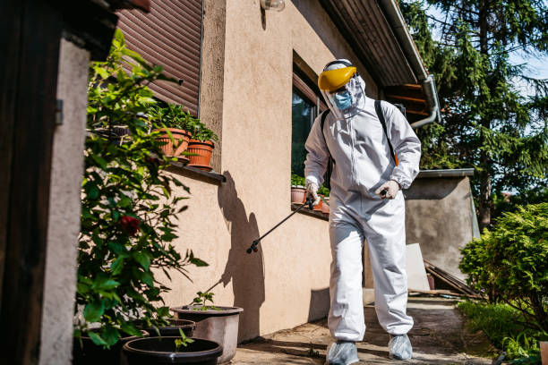 Best Pest Inspection Near Me  in Front Royal, VA
