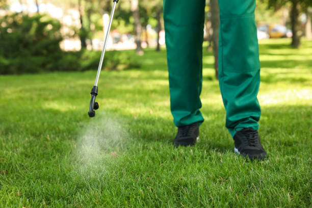 Best Bed Bug Extermination  in Front Royal, VA