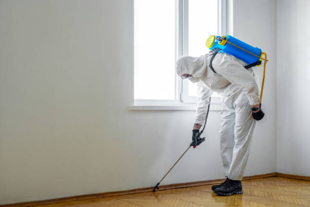 Best Exterminator Services  in Front Royal, VA