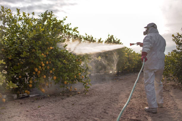 Best Affordable Pest Control Services  in Front Royal, VA