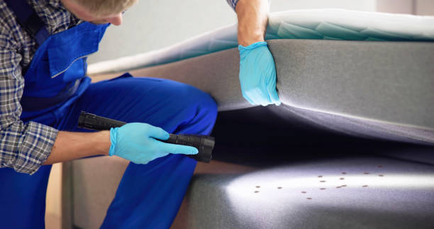 Best Local Pest Control Services  in Front Royal, VA