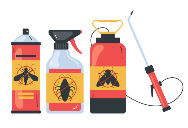 Best Termite Control Services  in Front Royal, VA