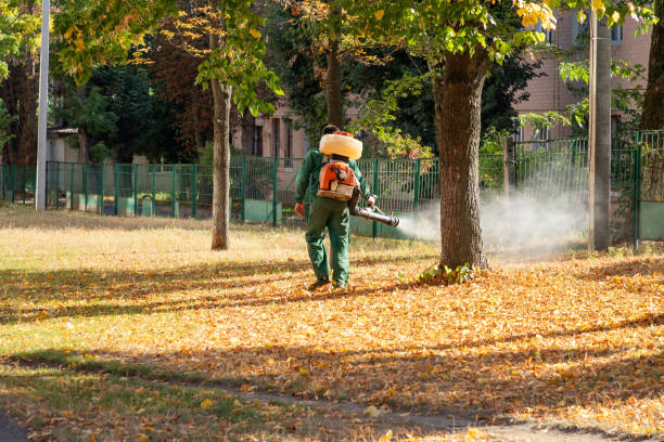 Wildlife Control Services in Front Royal, VA