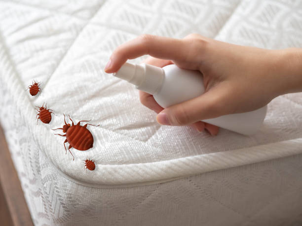 Best Mosquito Control Services  in Front Royal, VA